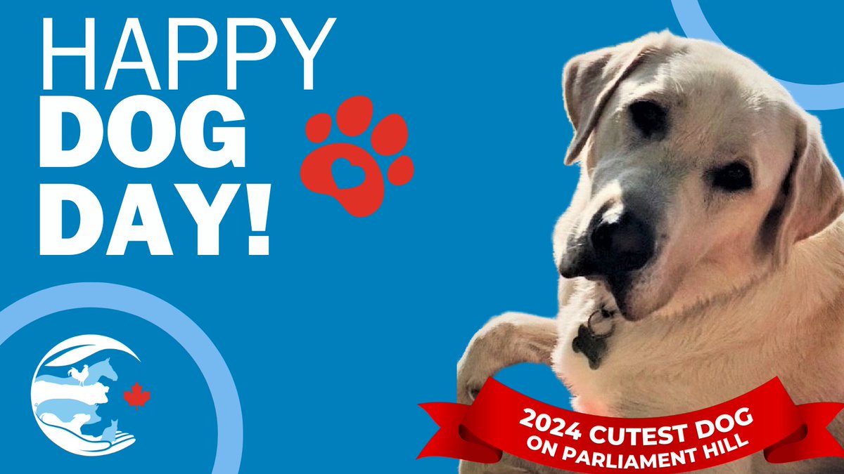 🐾 Happy International Dog Day! 🐾
 
It’s Walnut, your 2024 Cutest Dog on Parliament Hill! Let’s celebrate all the amazing pups who make life brighter. Share your dog pics fill the CAHI feed with wagging tails! 🦴🐶
 
#InternationalDogDay #cdnpoli #pets #dogs