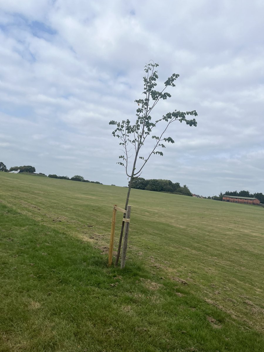 Saturdays activities not so wholesome which made Sunday very difficult #NursesActive