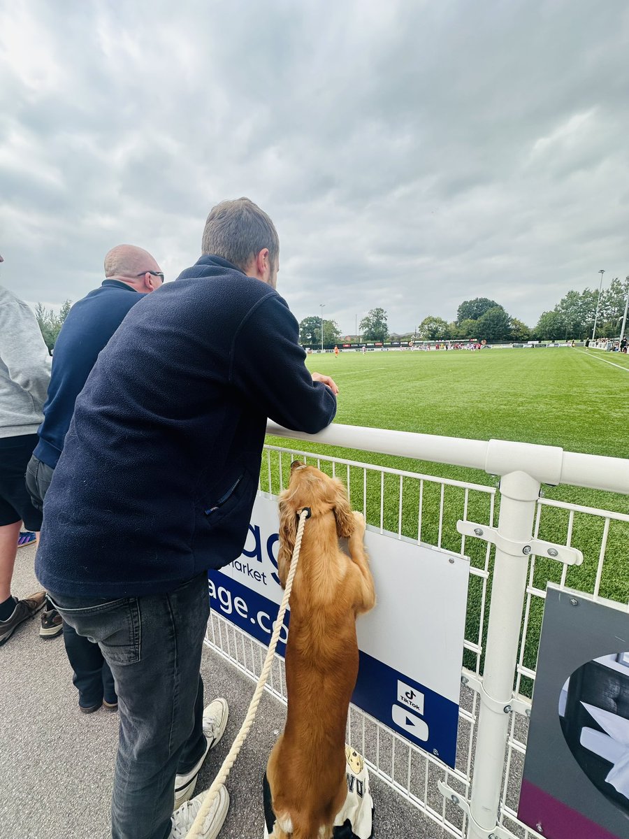 Sydney supporting a different team in red today🔴