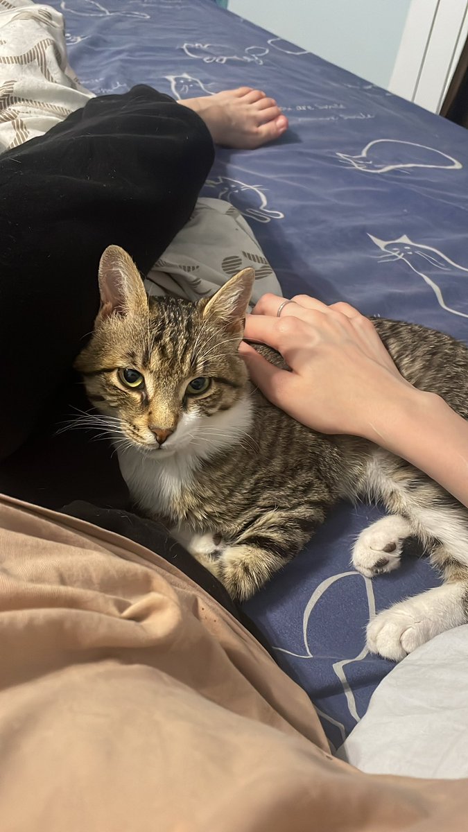 ДЕМШИЗА tweet media