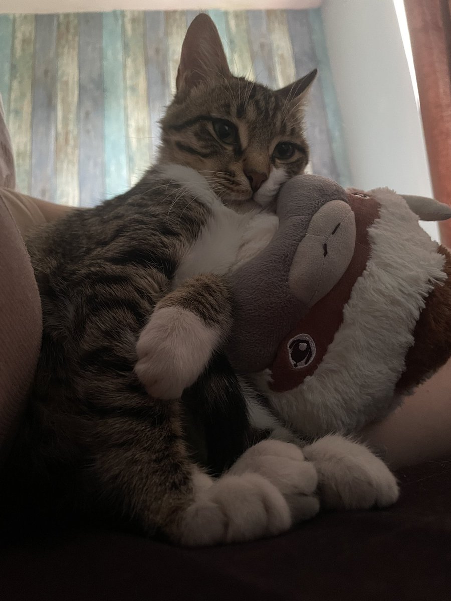 ДЕМШИЗА tweet media