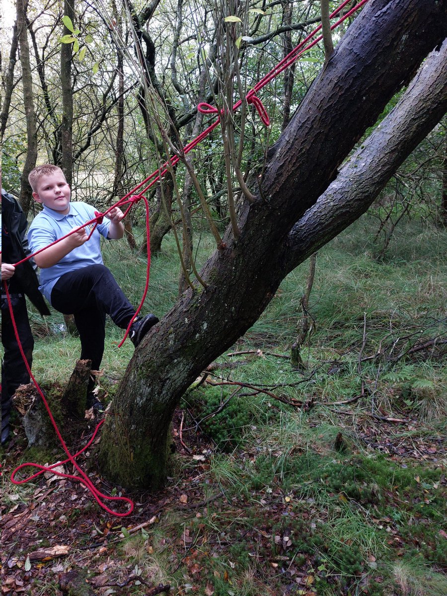 PrimaryPentland's tweet photo. A fun afternoon at Outlet Play for Room 3 this afternoon. Climbing trees, going on the swing, relaxing in the hammock and offering to carry the instructor's rucksack made for an enjoyable day 😀 . https://t.co/i6sFXCf5Yj