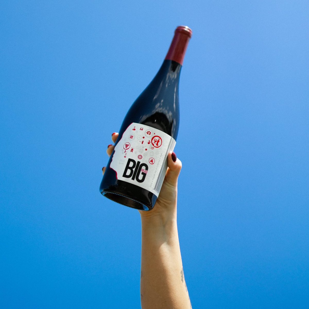 🍇 Our new 2023 Syrah has arrived! Available now online or at the winery. 🍷