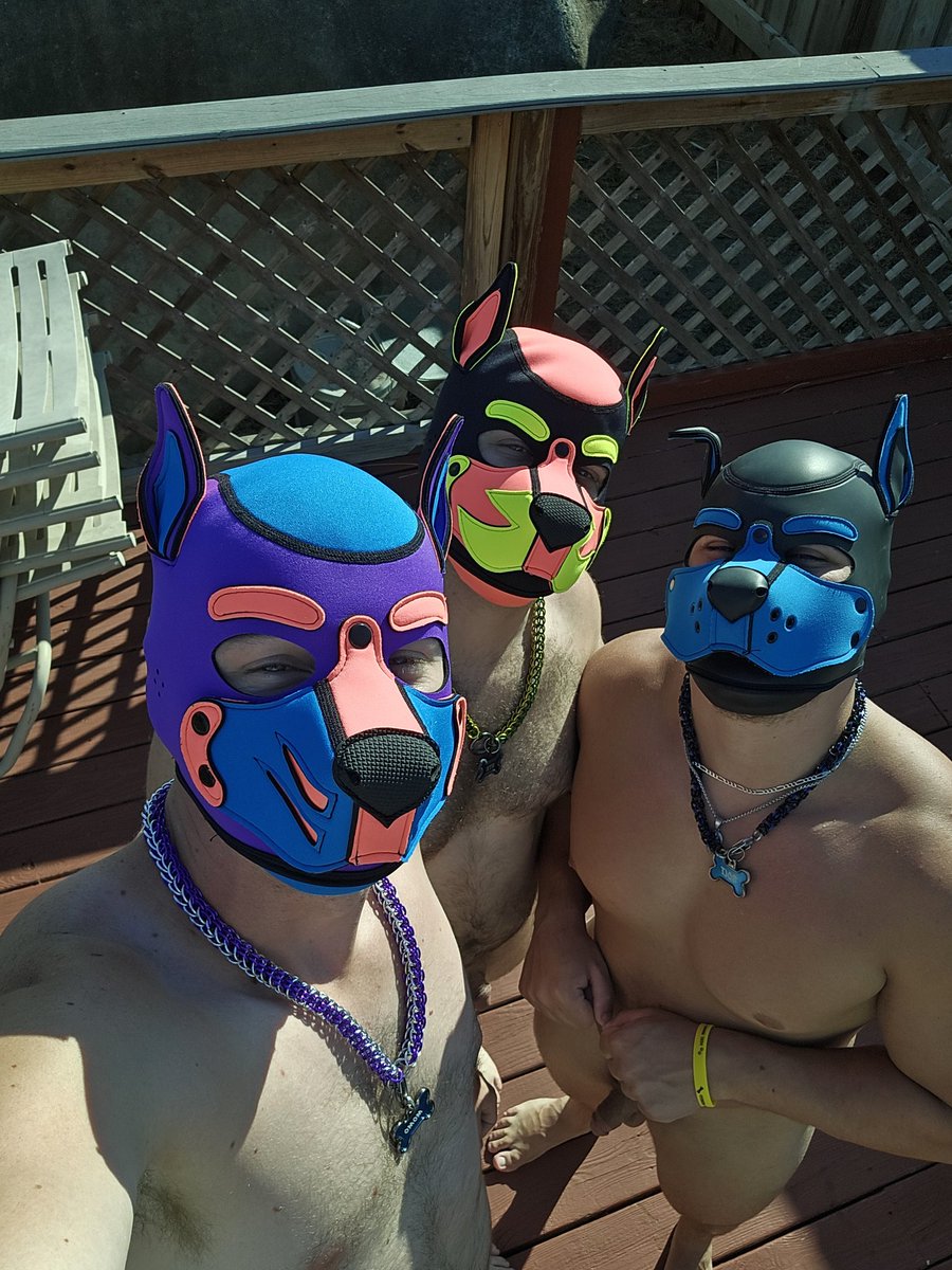 MomoThePupper's tweet photo. Had a great time at Dog Days with some of my favorite pups! Didn't take as many pics as I should have, but still go some good ones with Pup Syn and @YungHungDumb!
#pupplay #gaypups #nakedpooltime https://t.co/6cNNama0zf