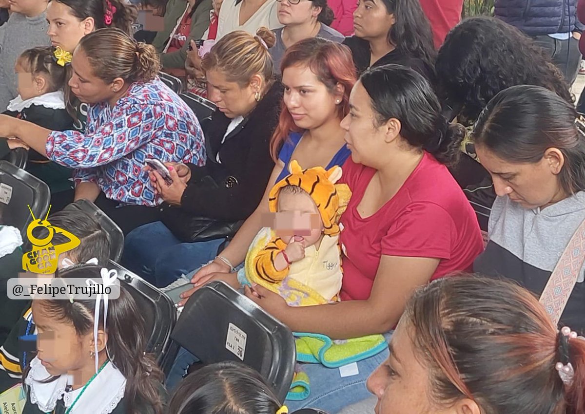 #Morelia  Miauuuu 🦁Llevan tigre a 1er día de clases en jardín de niños José Rubén Romero 😋

📸: <a href="/_FelipeTrujillo/">Felipe Trujillo</a>