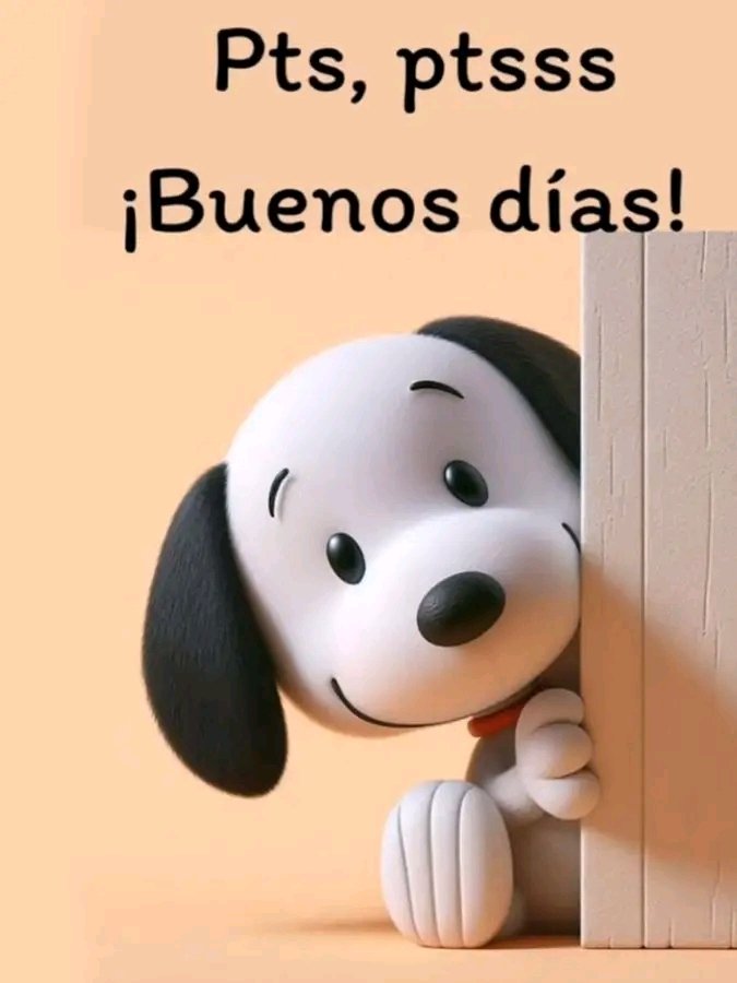 bollecochile tweet picture