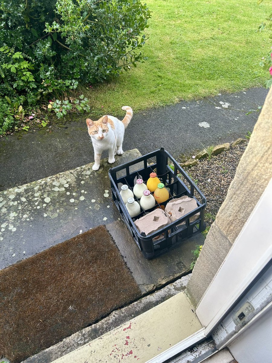 First milk delivery from local milkman in glass bottles checked and approved by Harry. All good. 😌 #homelife #countrylife