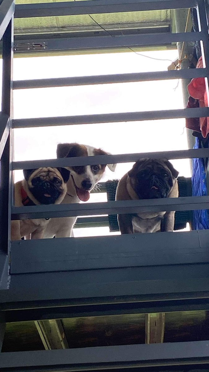 Mheldeeey's tweet photo. 🥺🩵 https://t.co/4kXhMb0rnl