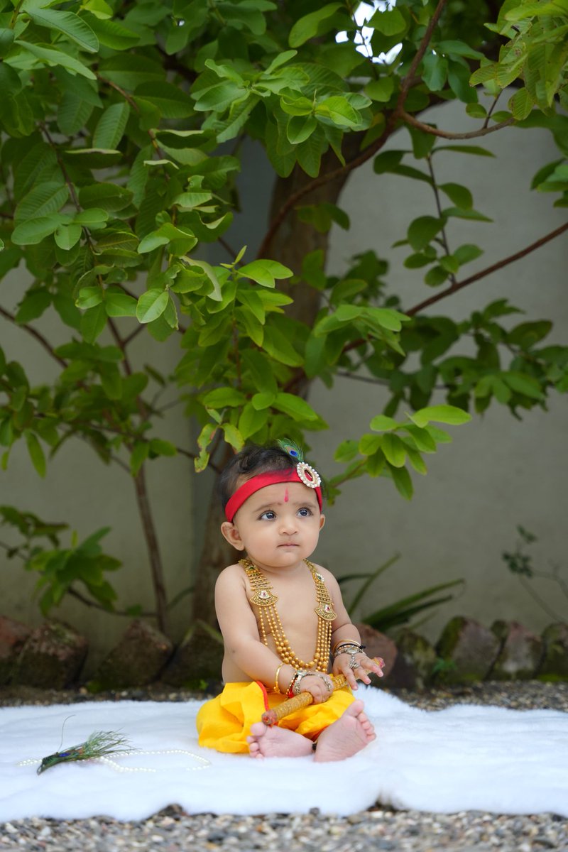 SagarSegaliya's tweet photo. ધન્ય ભાગ્ય કેવા આહીર તણાં જ્યાં જગતપતિ ��નમ્યો હસે 
નંદ યાદવ તારા નેહડે જેદી રમણધર રમ્યો હસે
ઉર લાગણી ઉભરાય કન્હૈયા યાદ કરીને નાત આહીર તની 
��ેદી નક્કી અમારે આંગણે અમારો મુરલીધર રીઝયો હસે.
#HappyKrishnaJanmashtami https://t.co/WkqCs7T0cT