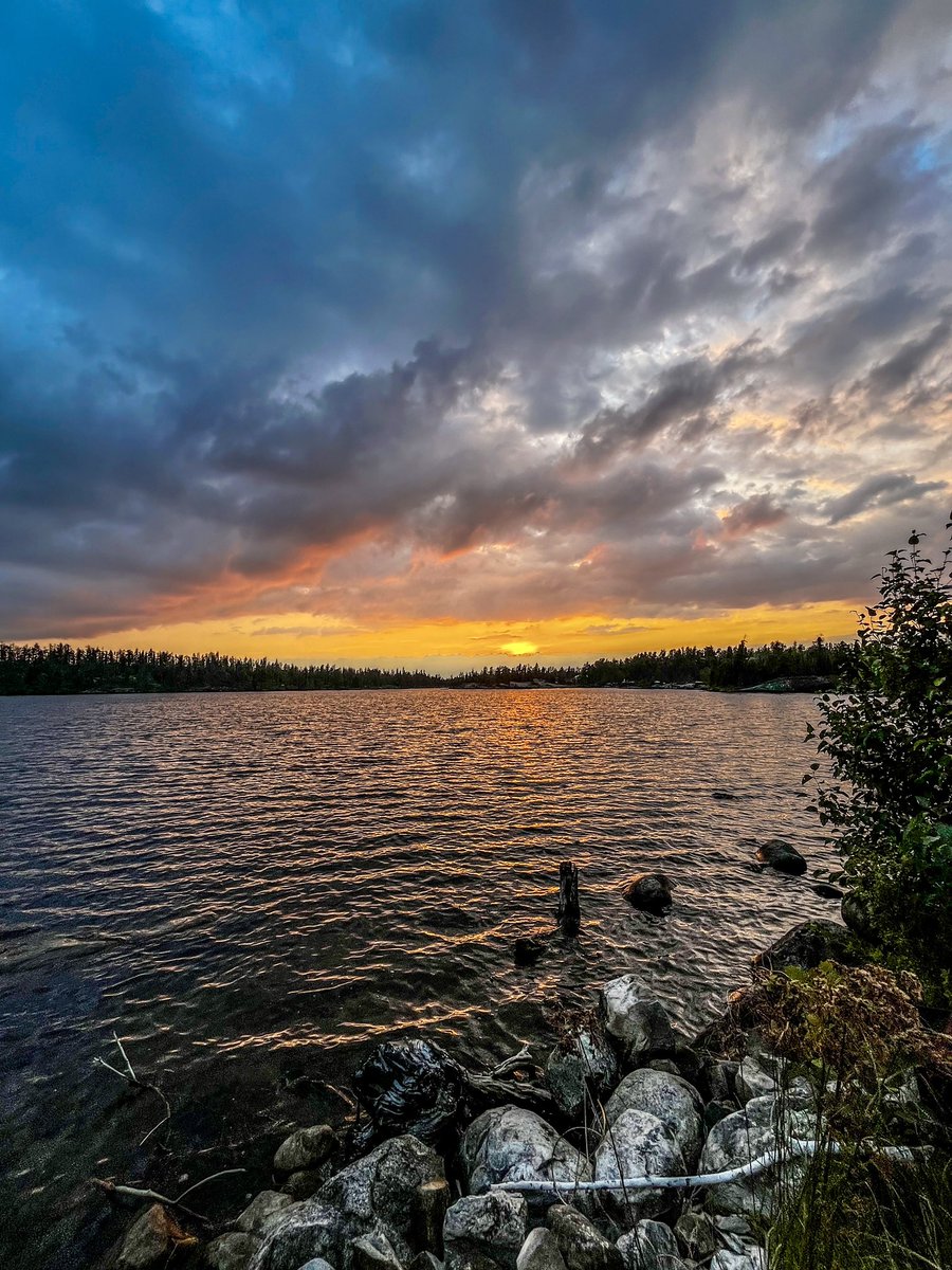 Umut Oğuzoğlu tweet media