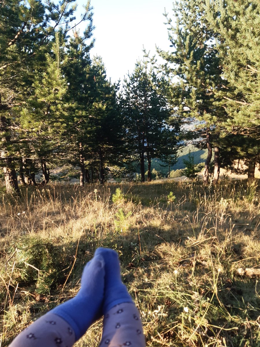 berteng_'s tweet photo. Asya'yla trekking zor. Mecbur kevirê sipî'de oturup manzarayı izledik ¯\_(ツ)_/¯ https://t.co/RwTzFl8M0s