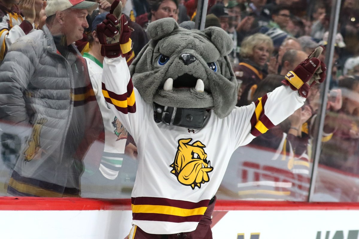UMDBulldogs's tweet photo. We heard it was National Dog Day, so of course we had to give a shoutout to the best mascot around, Champ! 🐾🐶 https://t.co/8b93Y1kID5
