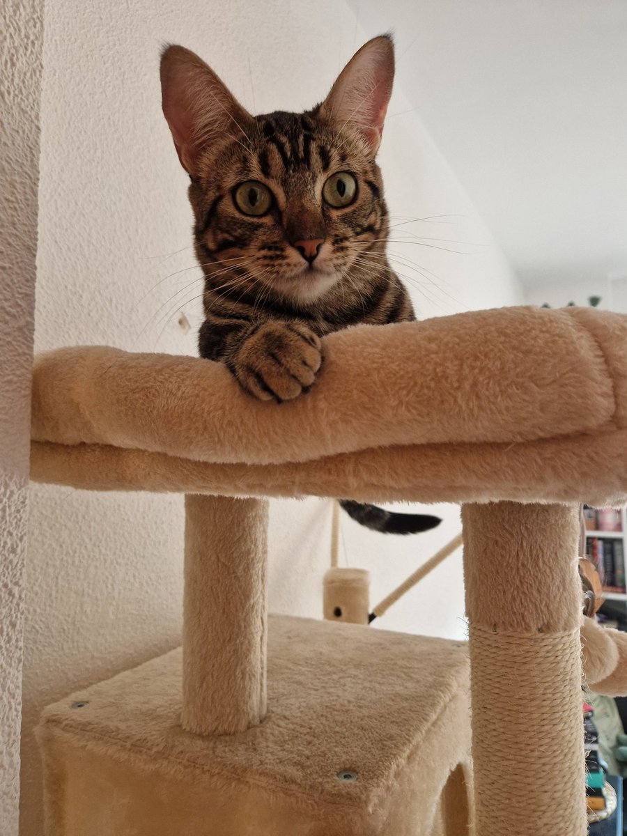 Que guapisimos son mis hijos