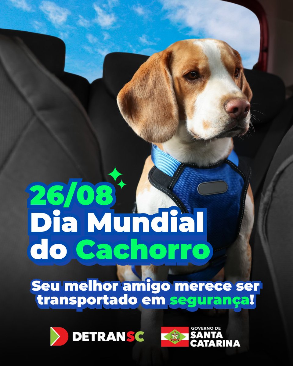 DetranSC's tweet image. Transportar seu pet no carro vai além de uma simples carona; é um ato de responsabilidade! Use peitoral ou caixas específicas para garantir a segurança. 🐕‍🦺 No Dia Mundial do Cachorro, celebre com cuidado e respeito.💕🚗