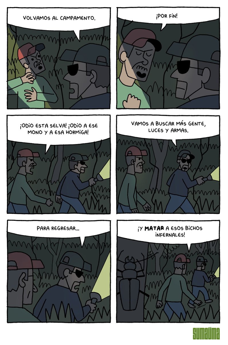 SUMAÚMA Periodismo tweet media