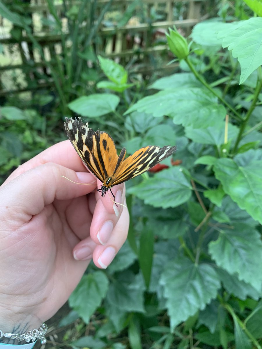 Caroline 🦋 tweet media