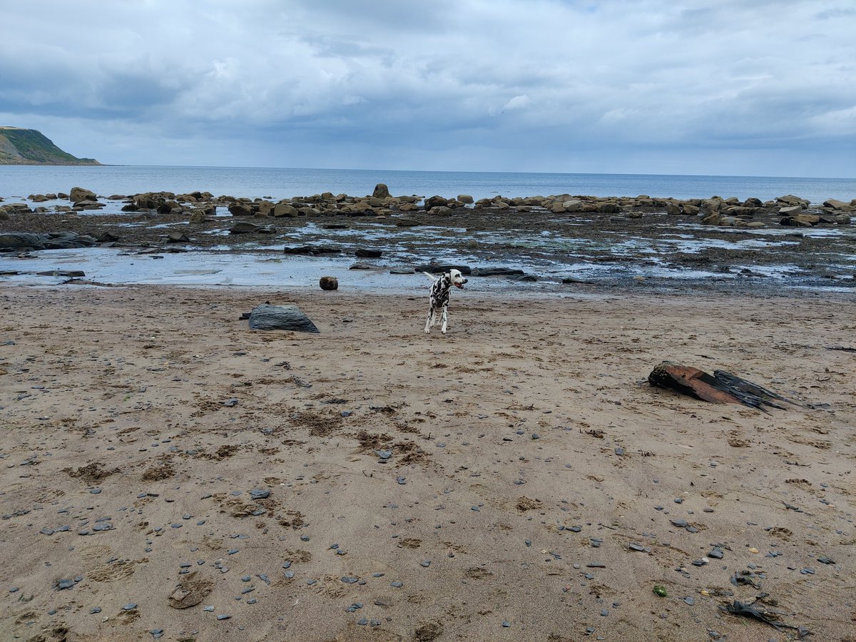 Runswick Bay🖤🤍