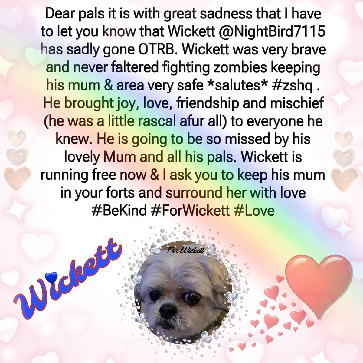 Josie Boo & Wickett😇 Nico😇 #ZSHQ #OTLFP tweet media