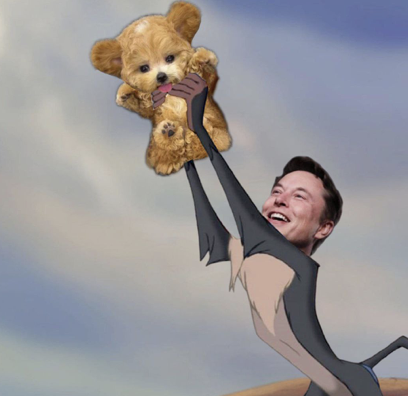 HugglesSOL's tweet photo. Two more hours until launch!!  Get ready!!! 🐶🦴🔥🚀
#solana #elonmusk #freehugs

https://t.co/fGRCGdN96o https://t.co/3Ml7BPpdsc
