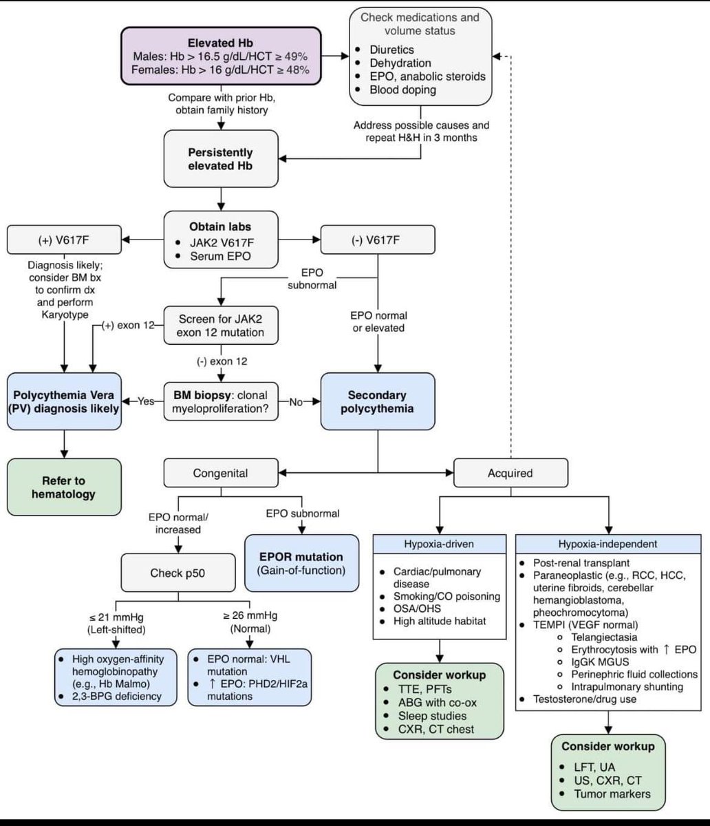 hemo_shk's tweet photo. Approach for #polycythemia
#MedX #MedTwitter #MEDHM @IhabFathiSulima https://t.co/4eyt9galOd