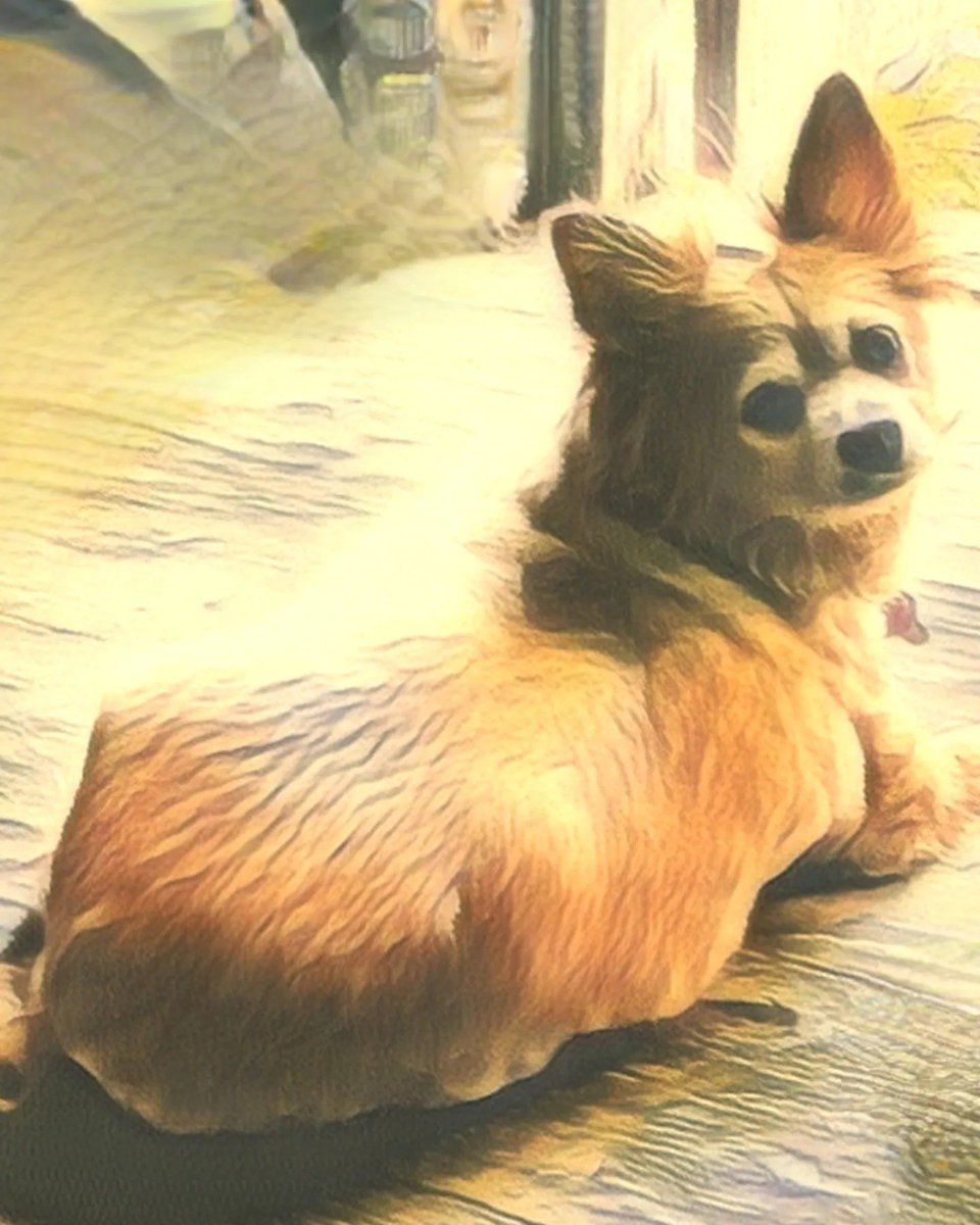 DogeDonny2013's tweet image. National dog day?! LFG thats what I’m screamin’ 🌲🌊🌲🌊🌲

Love and miss you Princess!!

#AllDogsGoToHeaven

🐾Princess(Pretty Girl)❤️

Where my dogs at?!

#RebelzUp #Nationaldogday #LoveNMissUPrettyGirl