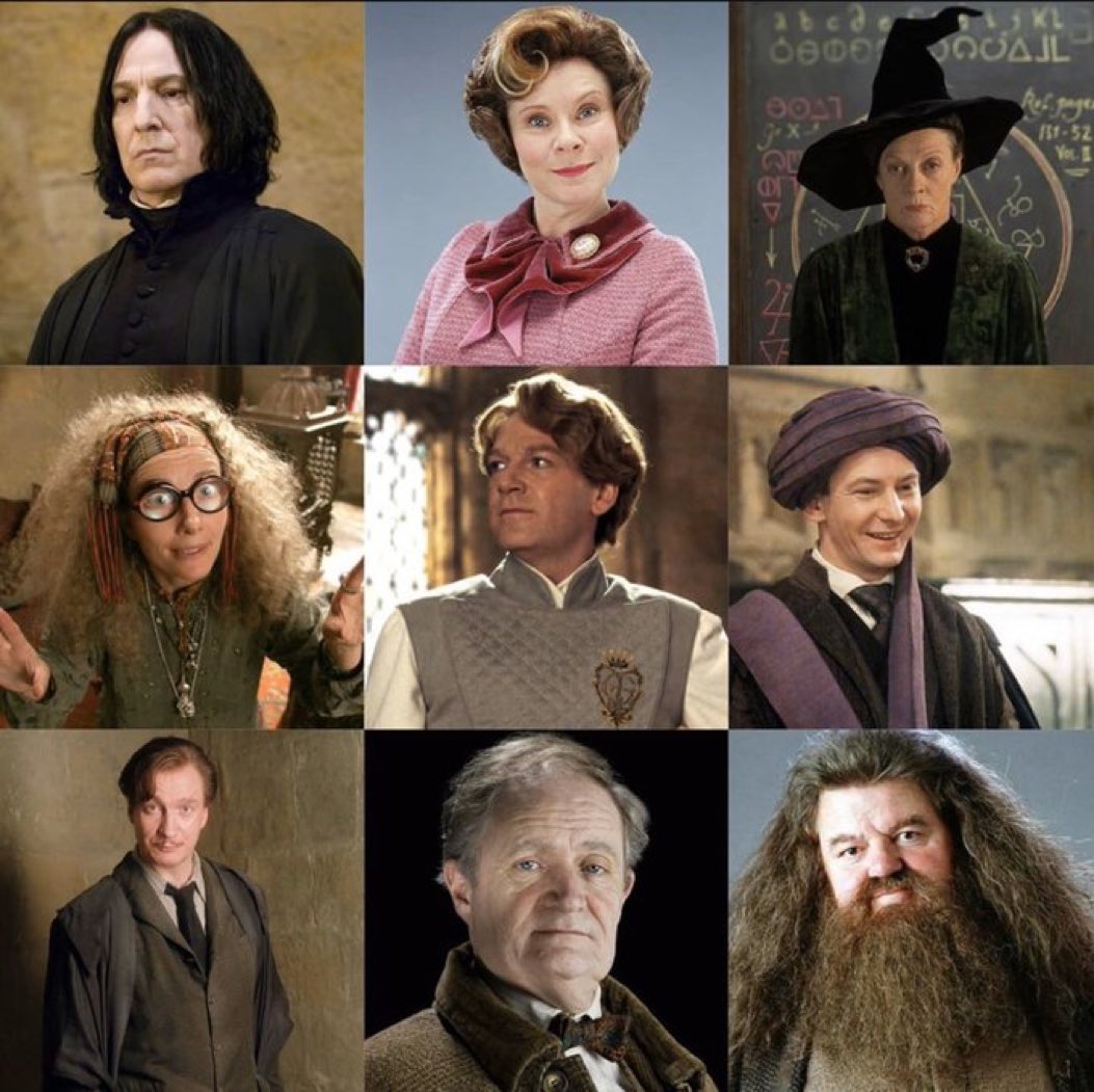 Se vc tivesse que escolher um professor pra te ensinar em Hogwarts,quem vc escolheria?