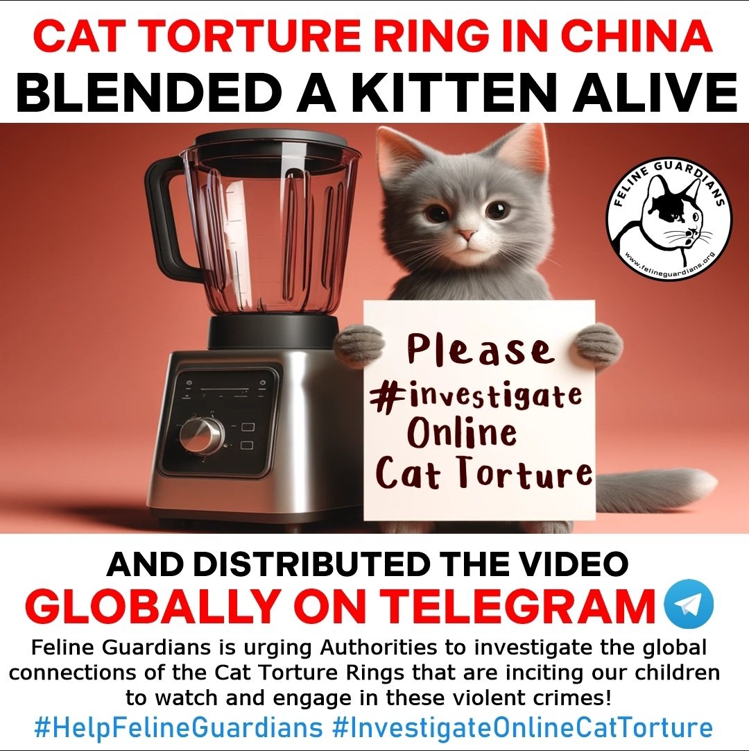 AdhikaPrapti's tweet photo. You too, #Chineseauthorities, knew that this platform was widely used by your #Chinese citizens.
Despite our warnings about the existence of #gangs practicing #money laundering,threats, #extortions,the trade in #catTorture to #death...You have remained deaf and mute! 🫵🏻@MFA_china https://t.co/Pfh6IpPmqx
