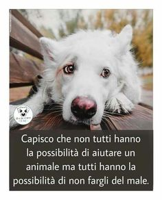 annamariamoscar's tweet photo. https://t.co/XIonSViXfM