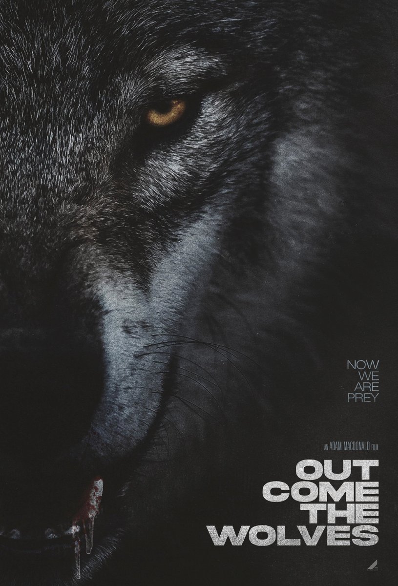 malcotheatres's tweet image. Now We Are Prey🐺 #OutComeTheWolves is now playing exclusively at Wolfchase Cinema Grill.
🎟: malco.com