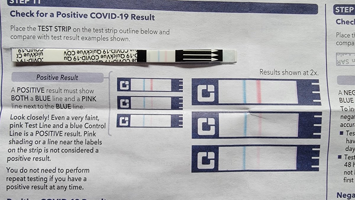 Skiddosaurus Rex 🦖✨| STREAM CELESTIA tweet media