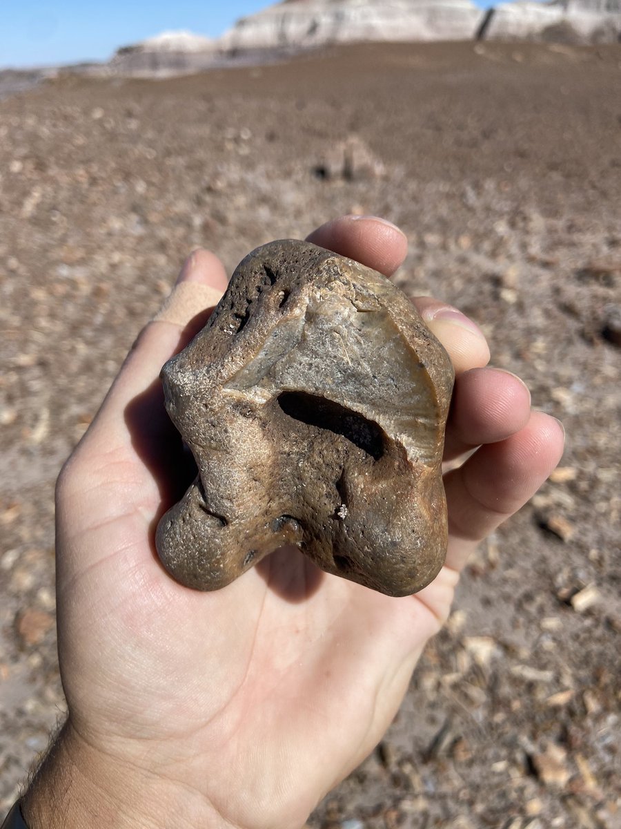 Adam Marsh tweet media