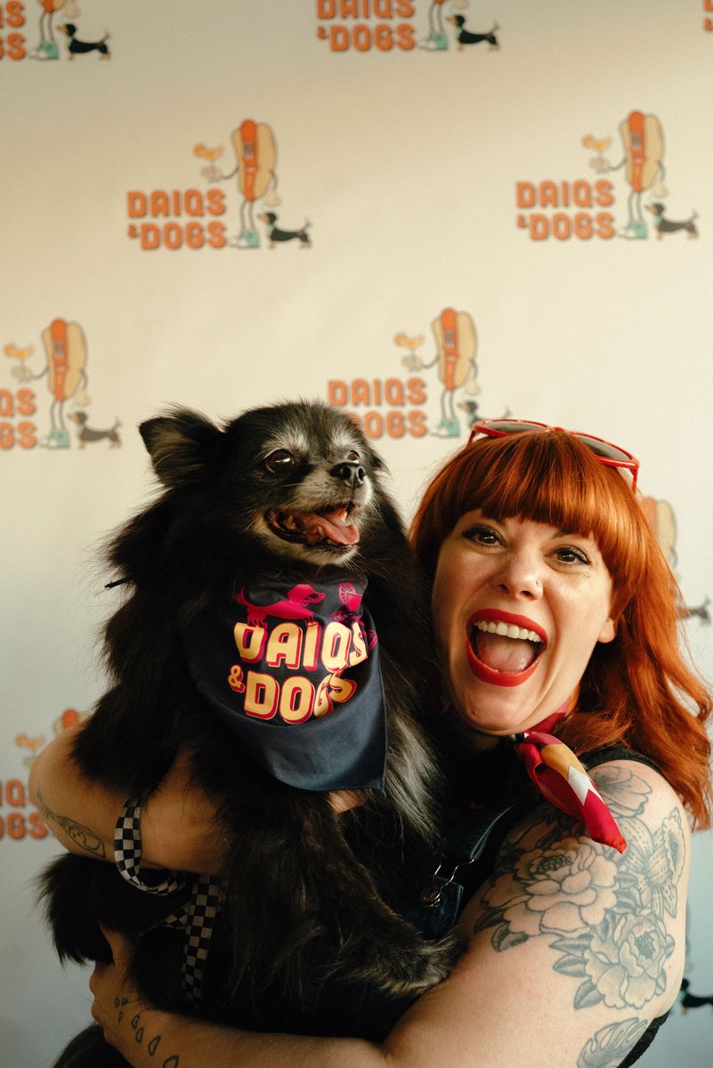 Back Bar Project tweet media