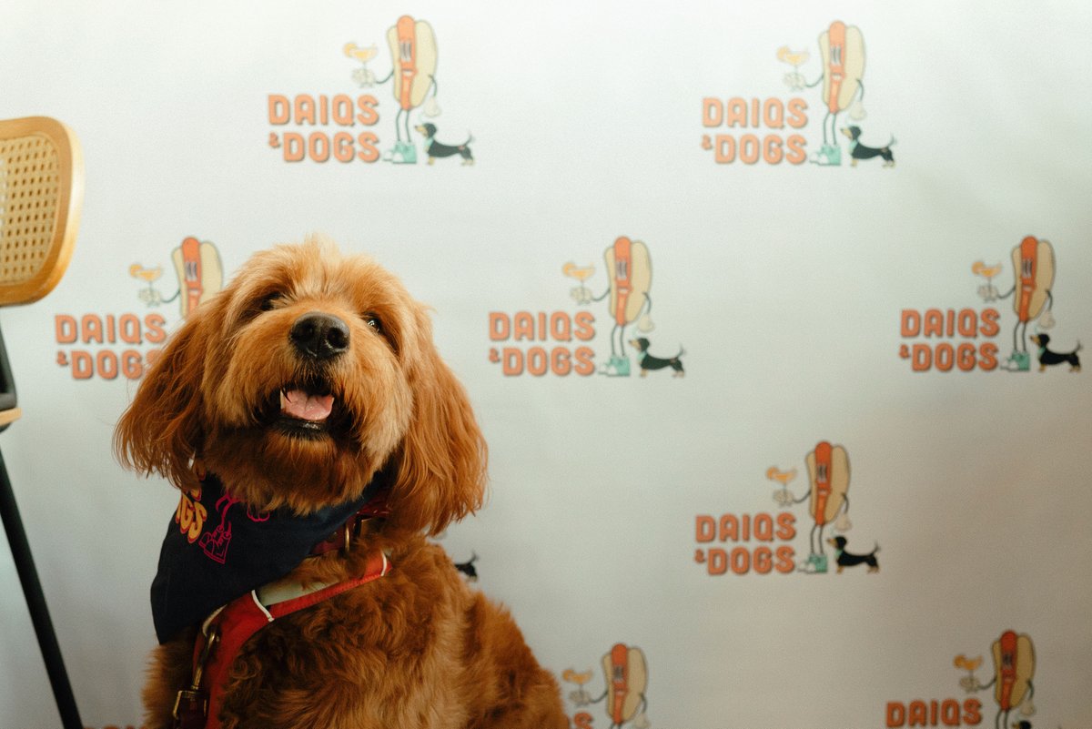 Back Bar Project tweet media