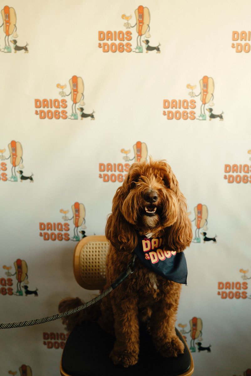 Happy International Dog Day! 🐾 🐶 ✨

 Last month’s Daiqs &amp; Dogs event was unforgettable—we raised $10k for the Humane Society of the United States and had some adorable four-legged guests join the fun! 

Take a look at the pups who made our Daqis &amp; Dogs event extra special!