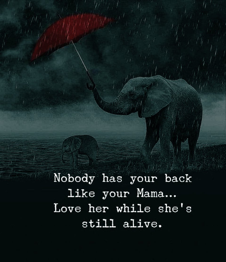 𝔫𝔲𝒓𝒖 𝒃𝒐𝒃𝒐¥£ (@bobonuru1) on Twitter photo 