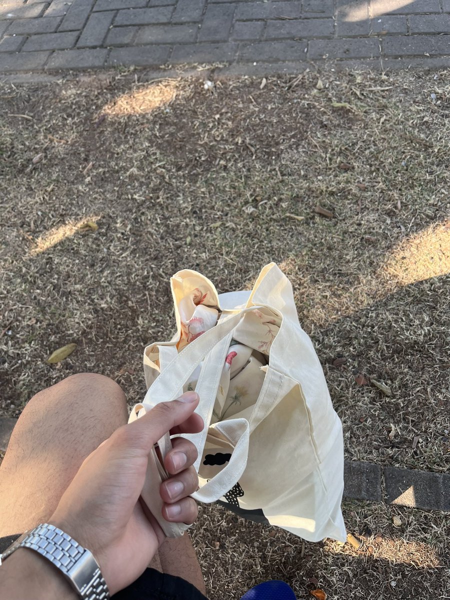 dia no parque