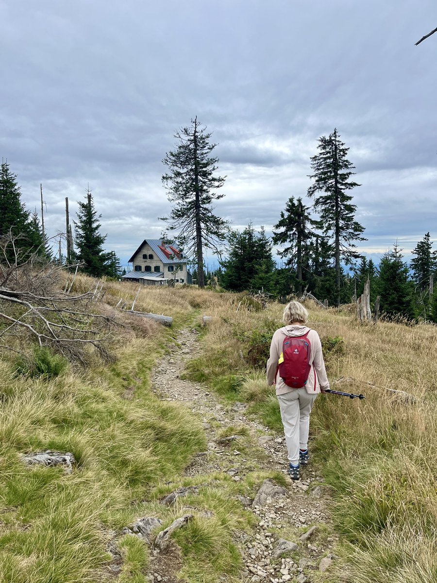 Kirsi_HoSt's tweet photo. Schöne Tour auf den Rachel im Bayerischen Wald: Aufstieg von Frauenau (616 m) nach Oberfrauenau zum 
Waldschmidhaus. 
Danach zum Gipfel (1453m), Abstieg über die Rachelkapelle zum Rachelsee nach Gfäll. Von dort mit dem Igelbus nach Spiegelau. Von Spiegelau mit der Waldbahn zurück https://t.co/WdaEC1naN7