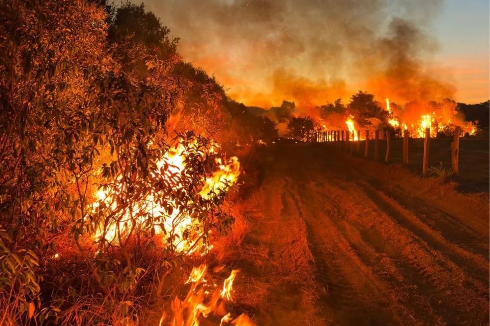 NewsLiberdade's tweet photo. 🚨URGENTE - Preso por queimar fazendas foi solto após alegar esquizofrenia

Salgadeiro de 29 anos foi preso em flagrante por incêndio criminoso às margens de rodovias em Goiás. Ele disse que a motivação foi política https://t.co/v8w0suiRx6
