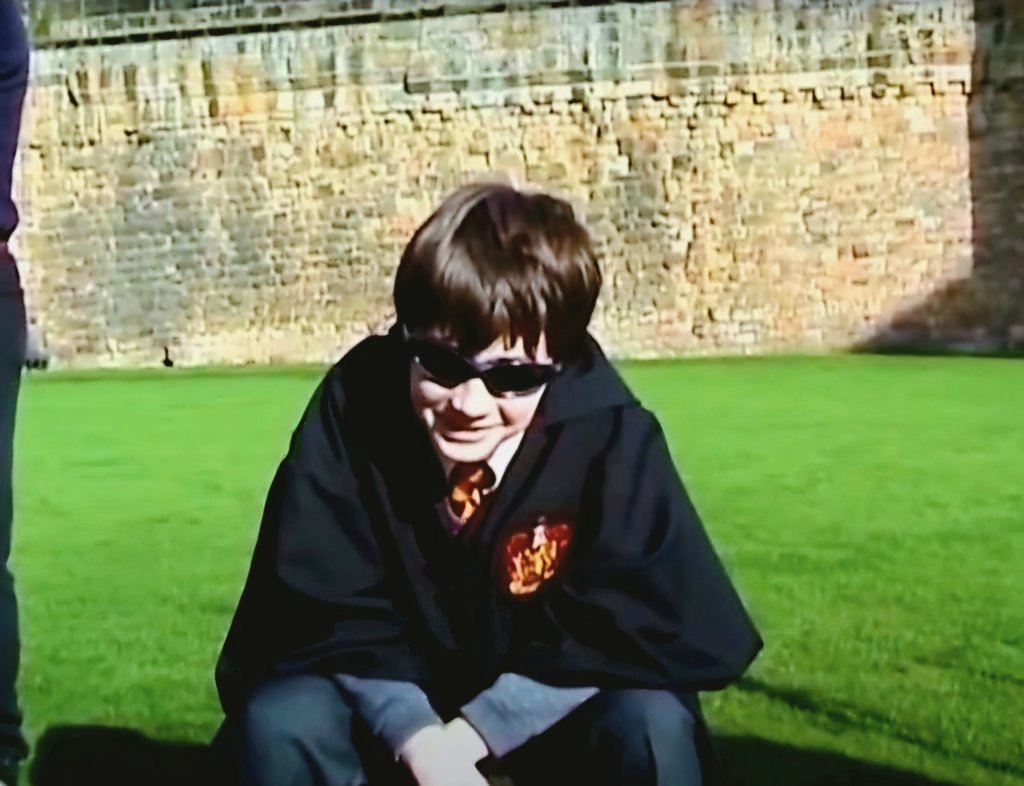 nobody:
Harry: I will be good for 7 books and 8 films, I am the lead role voldyyy #HarryPotter