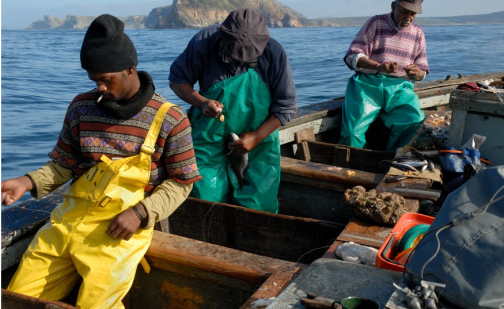 Namibia set for sea safety training after IFFS funding

The International Fund for Fishing Safety, (IFFS) has awarded the first grant to train and support fishing vessel safety auditors for deployment in Namibia and South Africa.

The project is run by the Sea Safety Bee Trust