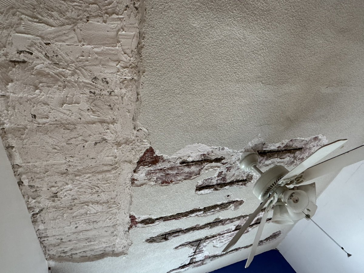 𝓣𝓸𝓸𝓯𝓮𝓻 💖 tweet media