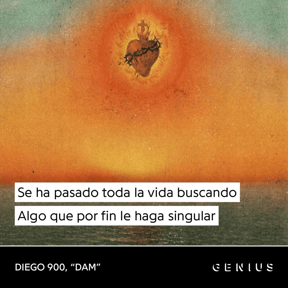 lucía tweet media