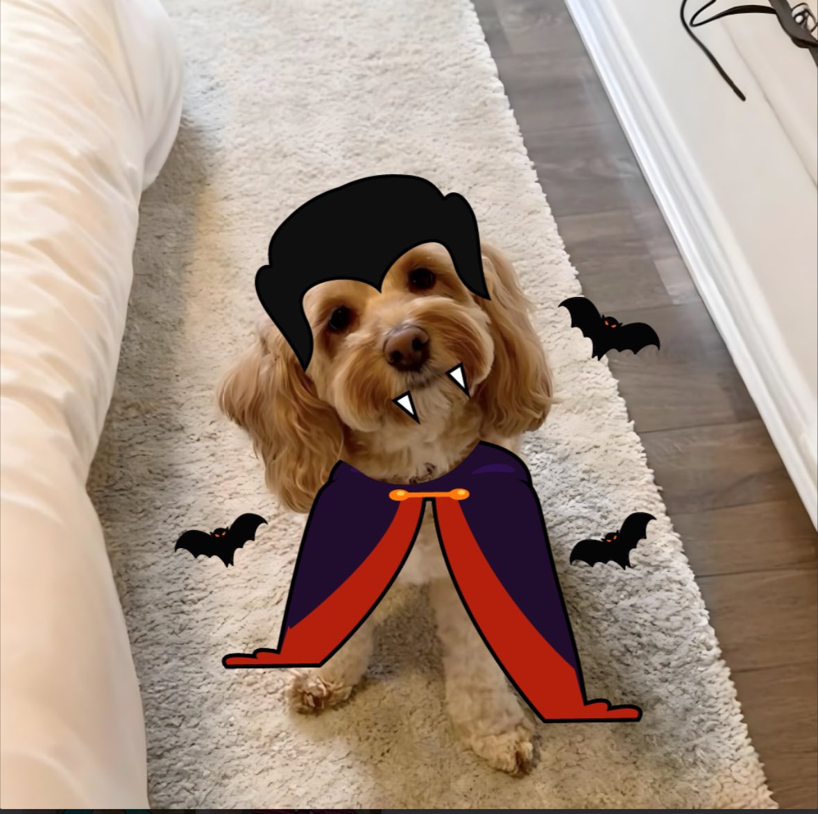 lunasoldog's tweet photo. $LUNA Greens about to look spooky 👀 https://t.co/1y8gZfSumh