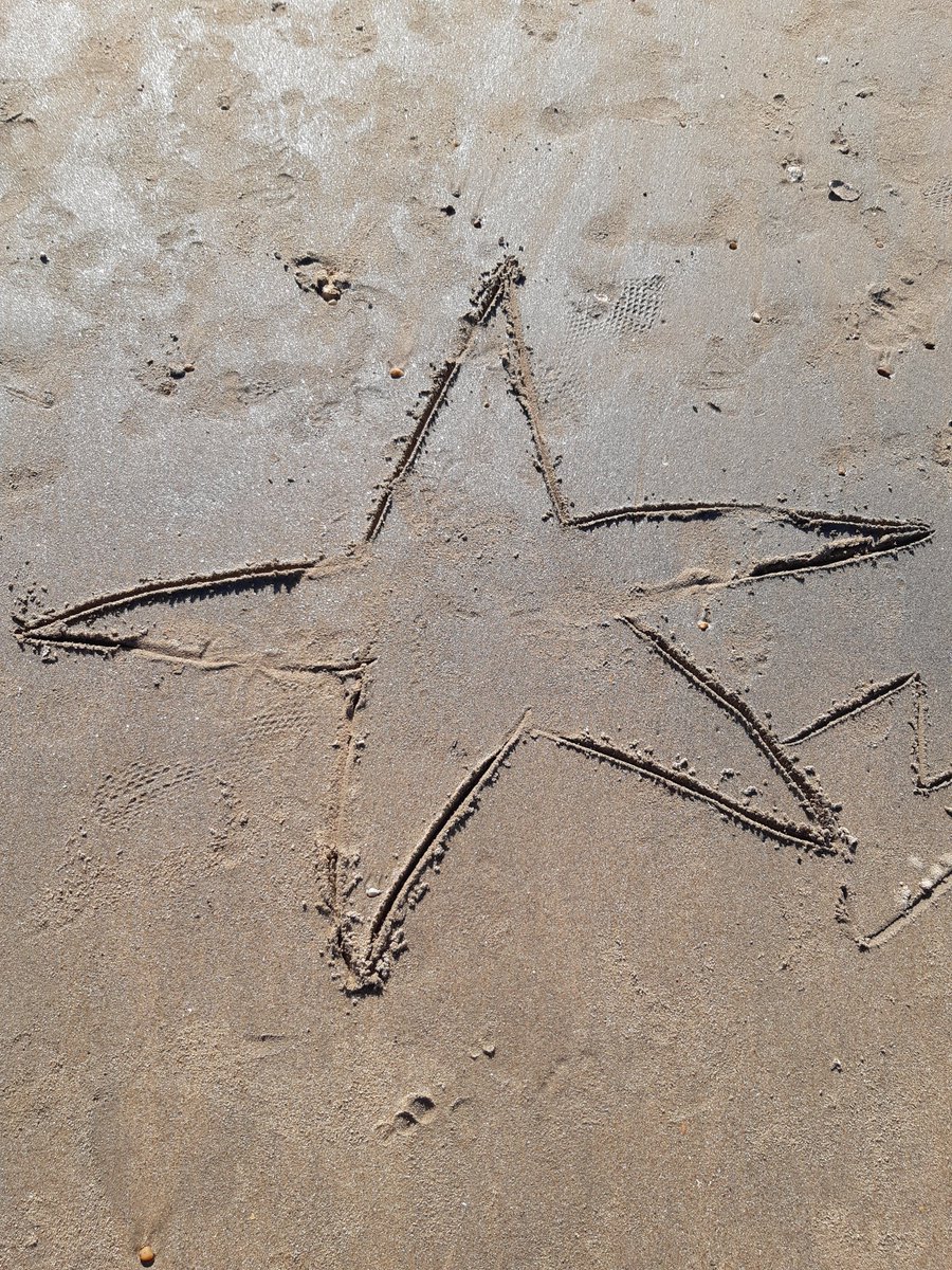 BrdxBrigitte's tweet photo. Fin de vacances à Royan. Merci encore à @cyleix pour tous ses bons conseils, bons plans ... https://t.co/caLlRCoZhW