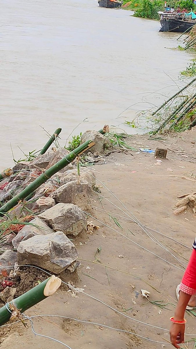 prince_jwel's tweet photo. Rediculous!
The "Baans technology" to stop Ganga erosion in Murshidabad in this high monsoon season where thousands of acres of land goes to Ganga.
#Samserganj 
#Murshidabad @WB
@DoWRRDGR_MoJS 
@CMOfficeWB 
@MamataOfficial https://t.co/YnBhQbG1JG