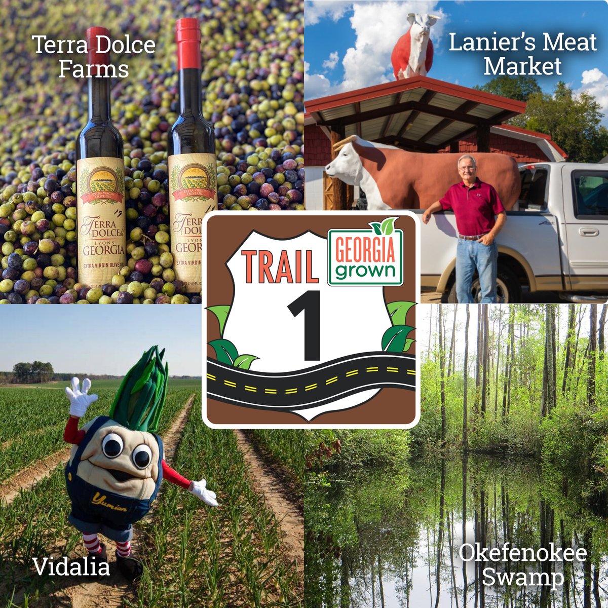 GeorgiaGrown's tweet photo. Explore Georgia Grown Trail 1! From juicy blueberries to savory pecans and fresh olive oil, the cities & small towns along US 1 offer many #GeorgiaGrown treasures. Get more info ⬇️
https://t.co/dNLk1FYyYA
#Georgia #Agribusiness #Agriculture #GDA150 #GeorgiaGrownTrails https://t.co/kfu9wblNgD