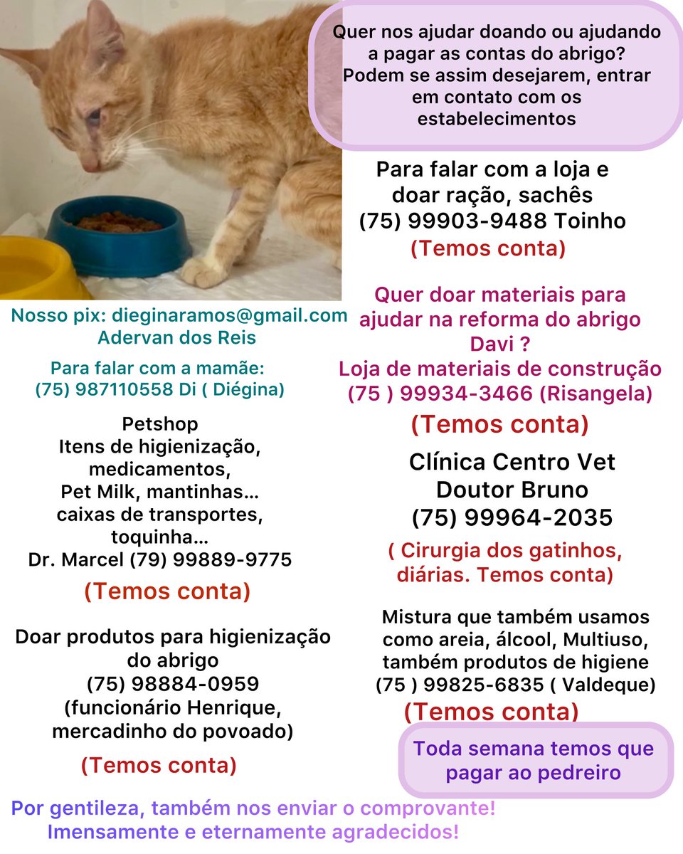 di_abrigo_davi's tweet photo. do abrigo
Quem puder doar materiais de construção para ajudar na reforma do abrigo, aqui também estará o número para falar com a loja, temos conta lá e não podemos comprar mais
Precisamos de areia, itens para ajudar nos cuidados com os gatinhos doentes, mas temos conta no petshop https://t.co/cjFRU4A7BA