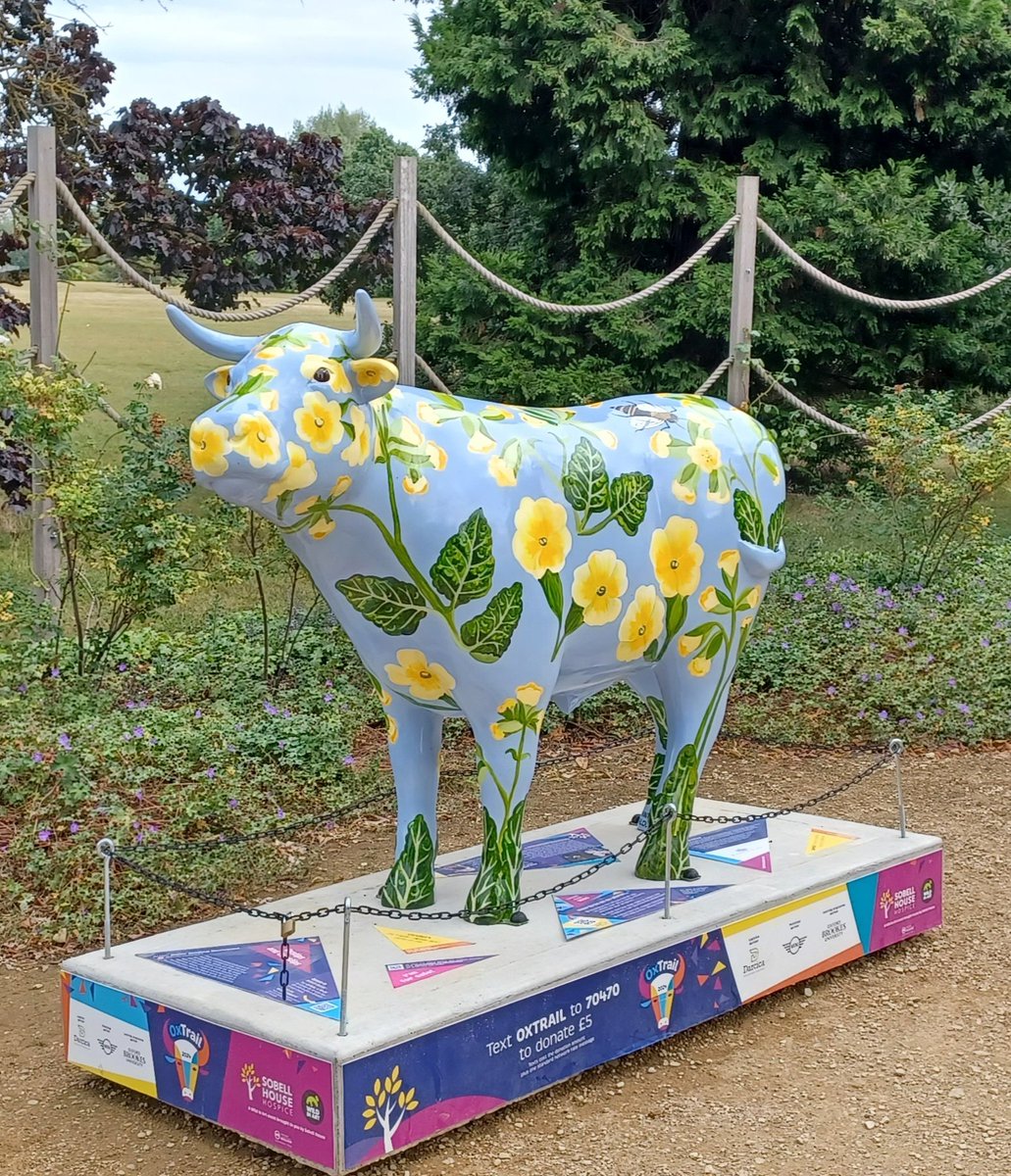 Jane Dobson tweet media