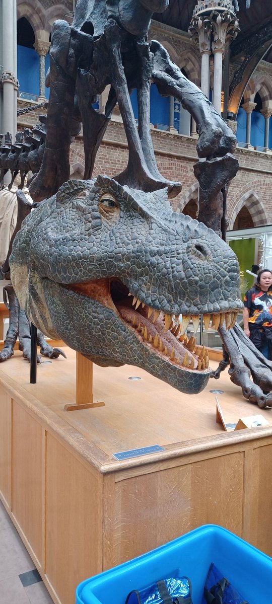 Jane Dobson tweet media