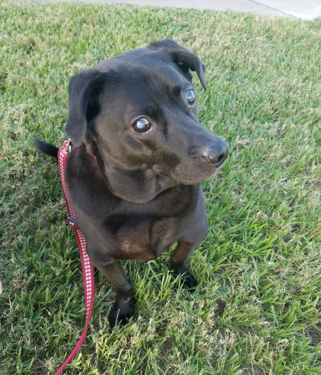 Danielle tweet media